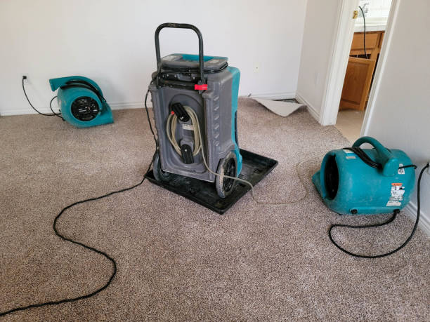Best Fire Damage Restoration  in Mesilla, NM