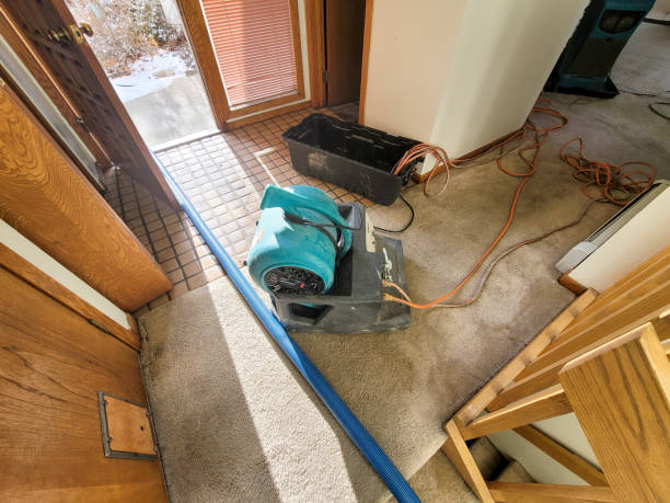 Carpet water damage restoration in Mesilla, NM
