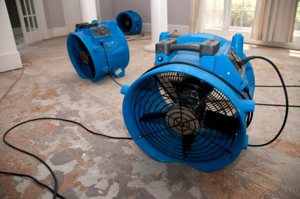 Best Flood damage cleanup  in Mesilla, NM