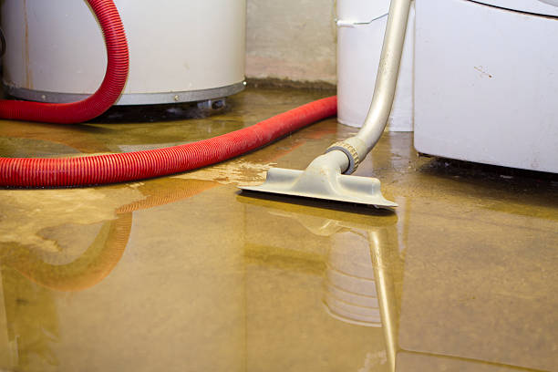 Best Basement water damage restoration  in Mesilla, NM
