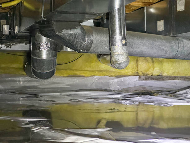 Best Water damage restoration near me  in Mesilla, NM