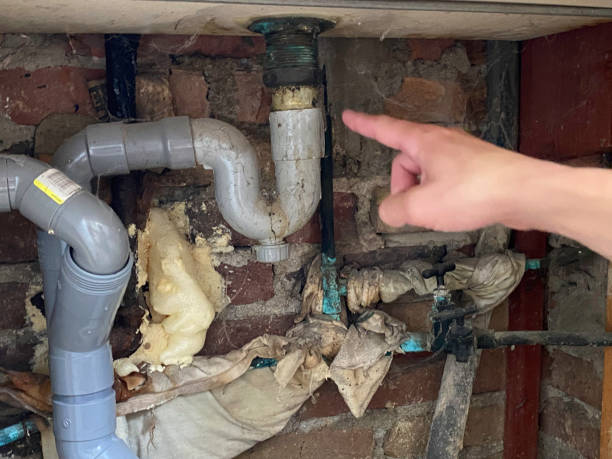 Best Residential water damage restoration  in Mesilla, NM